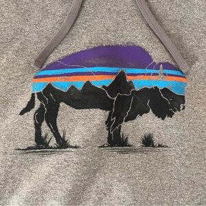 Patagonia Fitz Roy Bison Uprisal Hoody - Men’s Medium